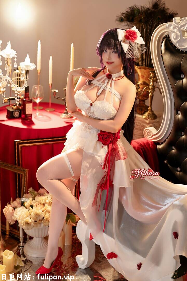 Tiny Asa Nikke胜利女神-米哈拉 羁绊锁链 痛苦吞食者[79P 1V 3.3G]