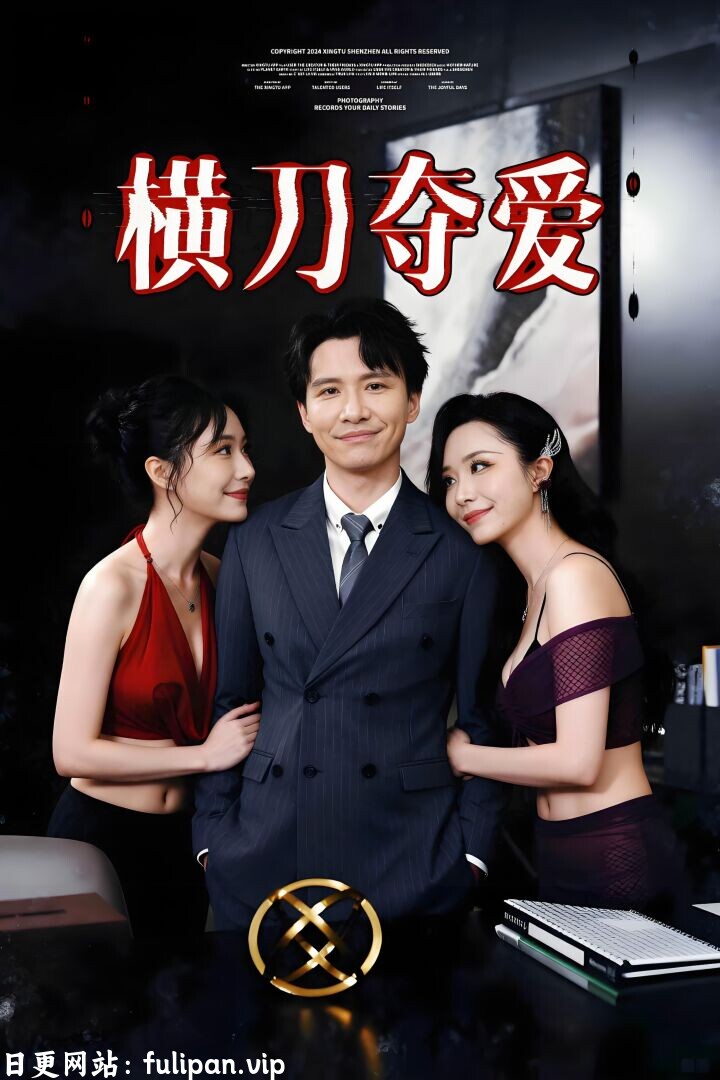 横刀夺爱 (全集) 擦边剧
