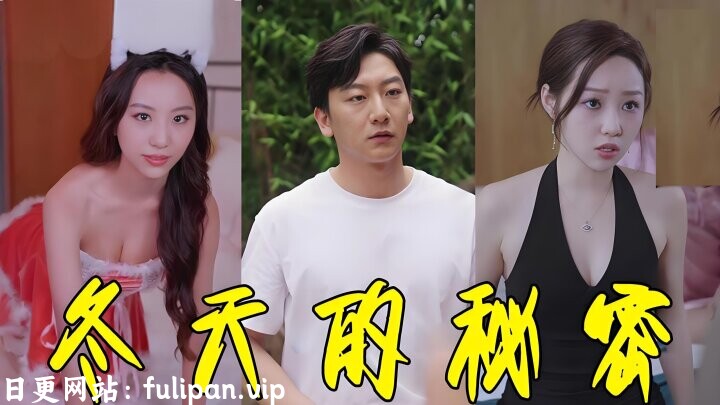冬天的秘密  (60集)  擦边剧